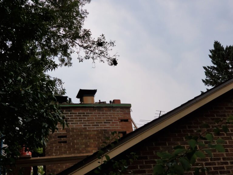 Resized_20200926_170047